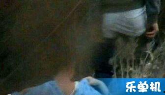 国产免费的野战视频,揭秘真实战场上的英勇瞬间